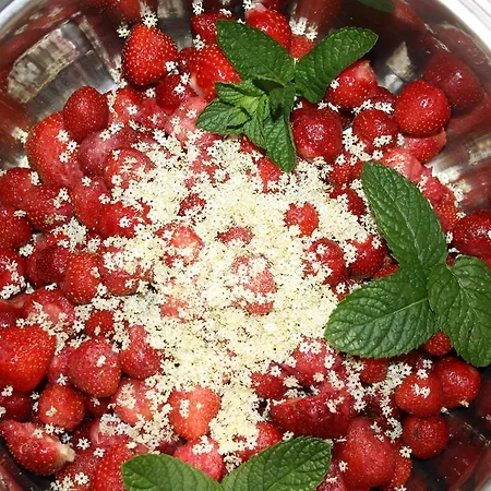 Apartment Bacchus - Borbarlang, Badacsony