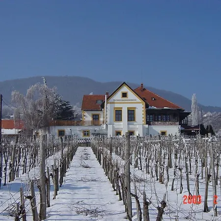 Bacchus - Borbarlang, Badacsony Apartmán *