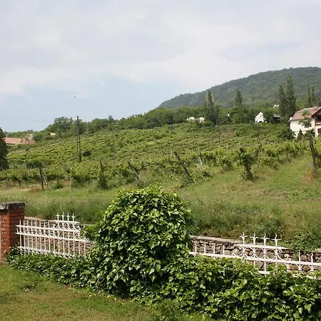 Apartmán Bacchus - Borbarlang, Badacsony