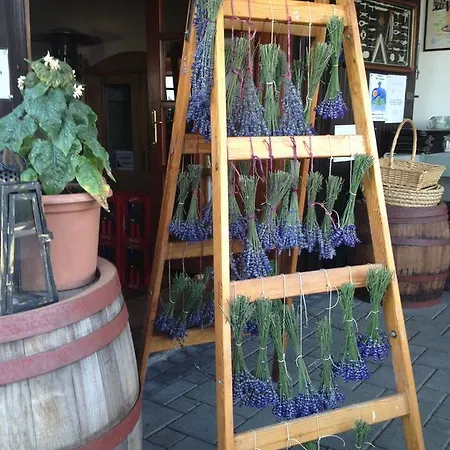 Bacchus - Borbarlang, Badacsony Badacsonytomaj