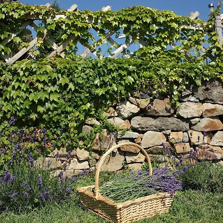 Appartamento Bacchus - Borbarlang, Badacsony *
