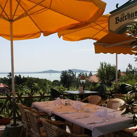 Apartment Bacchus - Borbarlang, Badacsony *