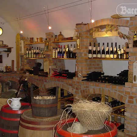 Apartmán Bacchus - Borbarlang, Badacsony Badacsonytomaj