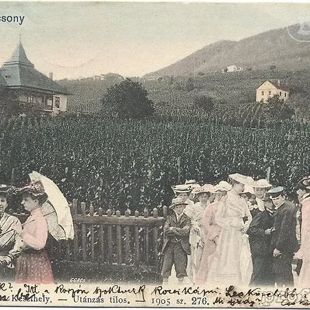 Bacchus - Borbarlang, Badacsony Badacsonytomaj