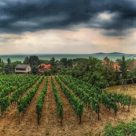 Apartment Bacchus - Borbarlang, Badacsony *