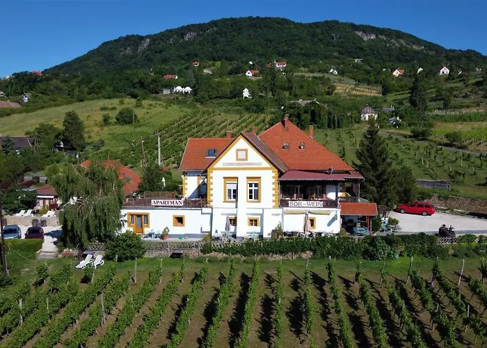 Bacchus - Borbarlang, Badacsony * Badacsonytomaj