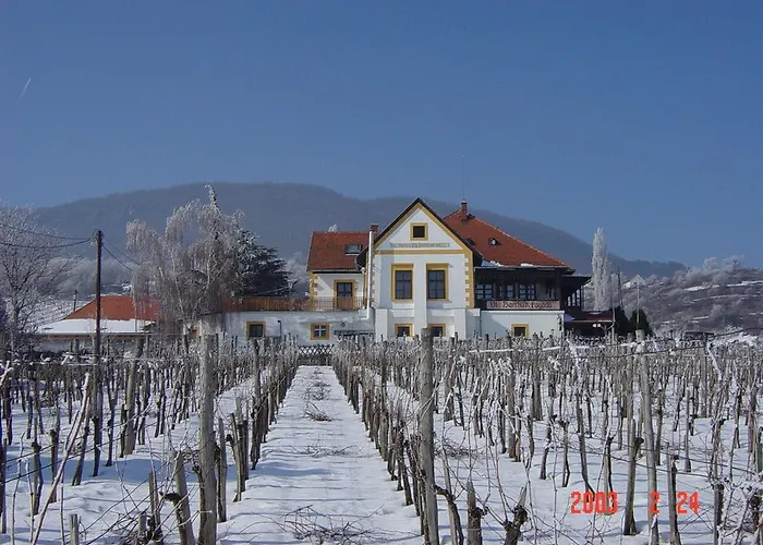 Bacchus - Borbarlang, Badacsony Апартаменты *