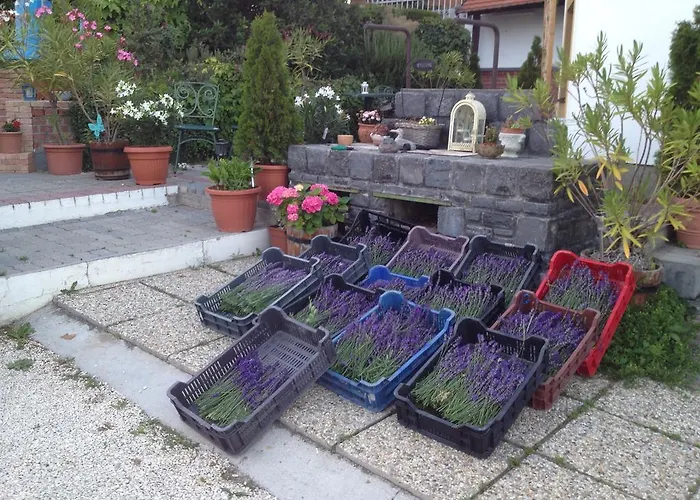 Bacchus - Borbarlang, Badacsony