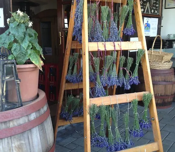 Bacchus - Borbarlang, Badacsony Бадачоньтомай