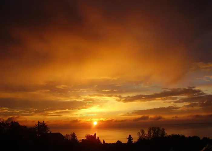 Bacchus - Borbarlang, Badacsony Badacsonytomaj