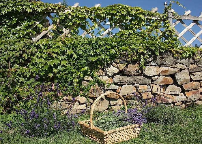 Lejlighed Bacchus - Borbarlang, Badacsony *