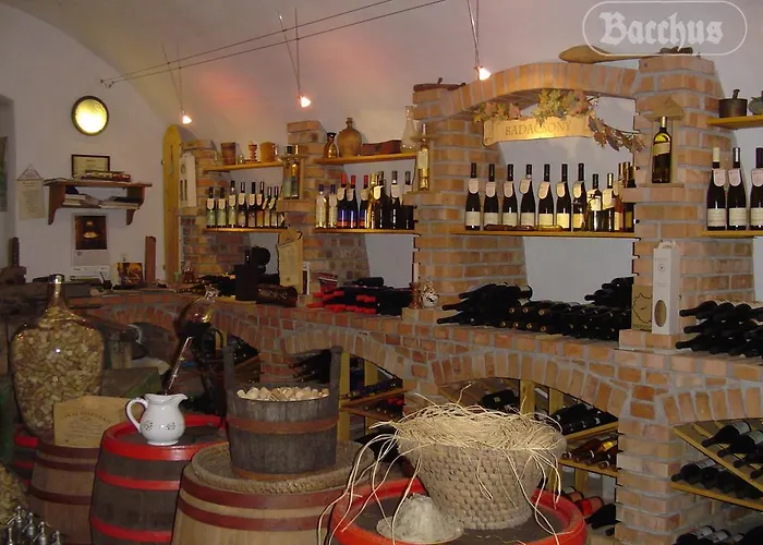 Lejlighed Bacchus - Borbarlang, Badacsony Badacsonytomaj