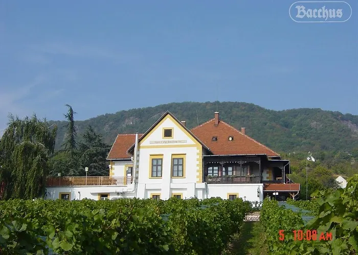 Lejlighed Bacchus - Borbarlang, Badacsony *