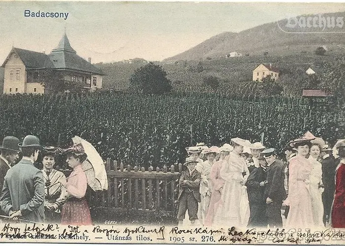 Bacchus - Borbarlang, Badacsony Бадачоньтомай