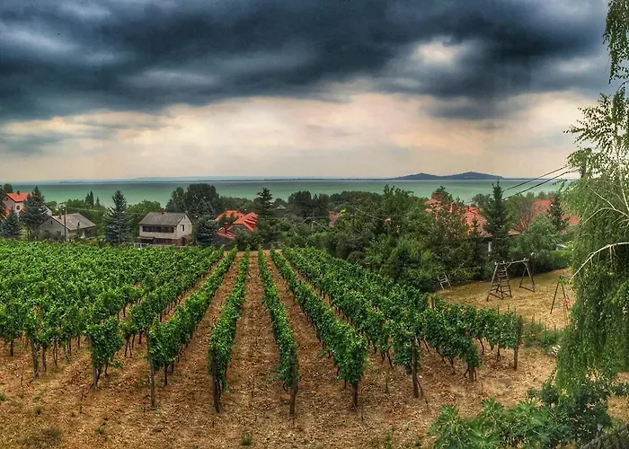 Апартаменты Bacchus - Borbarlang, Badacsony *